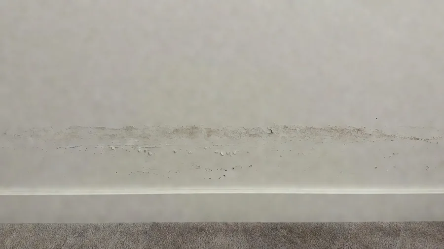 Interior wall with a horizontal brown-grey staining line about a metre above the floor and paint beginning to blister below it.